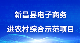 新昌縣電子商務進農村綜合示范項目